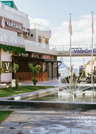 Vinograd, Бар